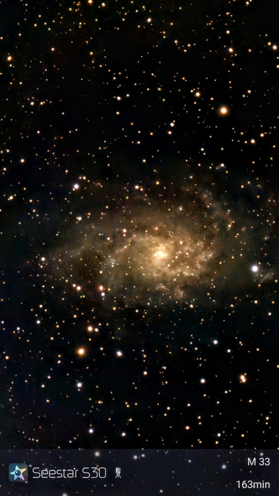 1016     Triangulum Galaxy     R-402D     M33