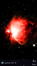 1007     Orion Nebula     R503D     M42