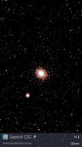 Rose Cluster  M5  R-601