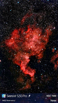 1013     North America Nebula     R-516D     NGC7000