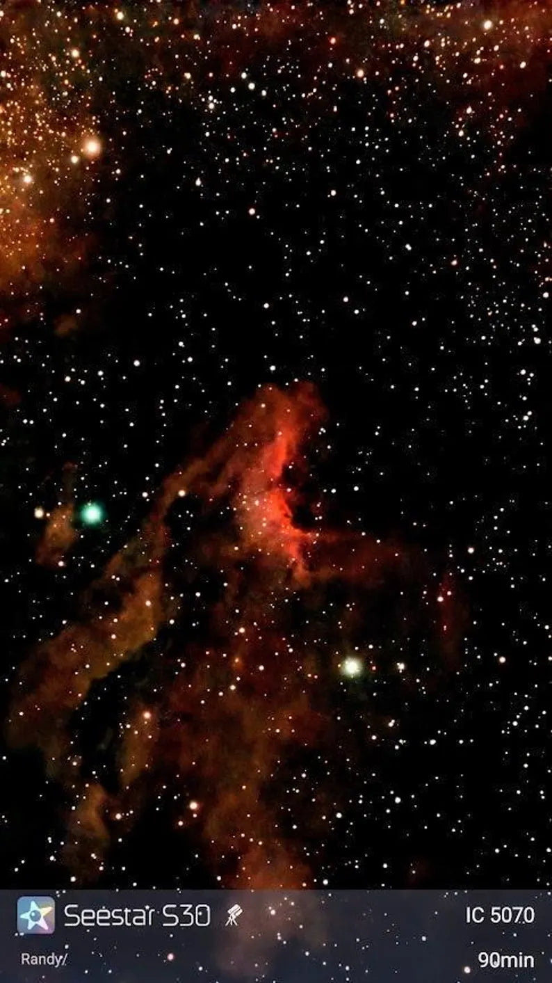 1008     Pelican Nebula     R-501D     IC5070