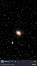 1009     Rose Cluster     R-601D     M5